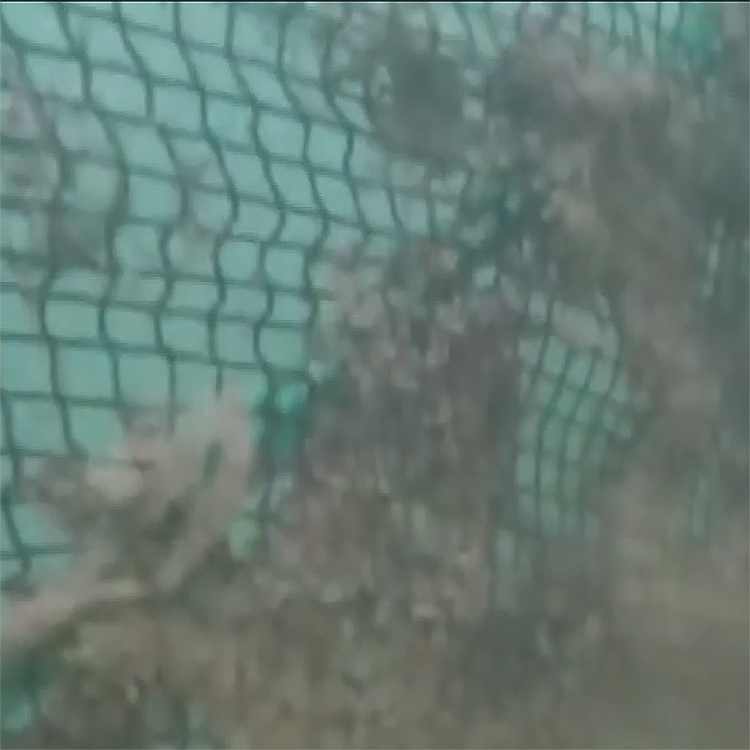 高壓清洗機(jī),進(jìn)口高壓清洗機(jī),高壓清洗機(jī)價格,超高壓清洗機(jī)