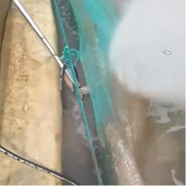 高壓清洗機,進口高壓清洗機,高壓清洗機價格,超高壓清洗機 高壓清洗機,進口高壓清洗機,高壓清洗機價格,超高壓清洗機