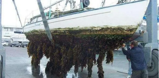 高壓清洗機(jī),進(jìn)口高壓清洗機(jī),高壓清洗機(jī)價格,超高壓清洗機(jī) 高壓清洗機(jī),進(jìn)口高壓清洗機(jī),高壓清洗機(jī)價格,超高壓清洗機(jī)