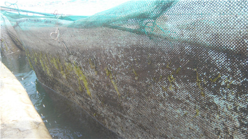 高壓清洗機(jī),進(jìn)口高壓清洗機(jī),高壓清洗機(jī)價(jià)格,超高壓清洗機(jī) 高壓清洗機(jī),進(jìn)口高壓清洗機(jī),高壓清洗機(jī)價(jià)格,超高壓清洗機(jī)