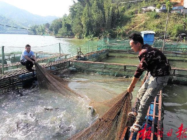 高壓清洗機(jī),進(jìn)口高壓清洗機(jī),高壓清洗機(jī)價(jià)格,超高壓清洗機(jī)