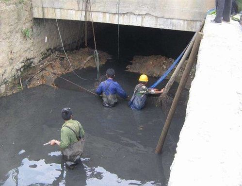 高壓清洗機(jī),進(jìn)口高壓清洗機(jī),高壓清洗機(jī)價(jià)格,超高壓清洗機(jī)