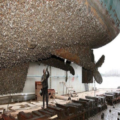 夏季海生物污染嚴重，如何快速清理