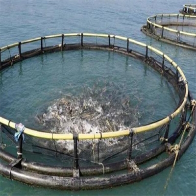 空化射流水下清洗設(shè)備用于水下攔截網(wǎng)清理